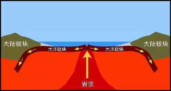 比如在大洋中脊,两个不同的板块相互分离.