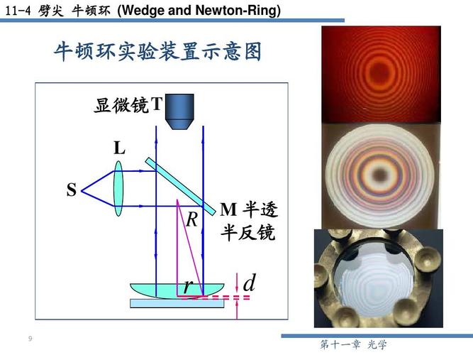 11-4 劈尖 牛顿环 (wedge and newton-ring) 牛顿环实验装置示意图