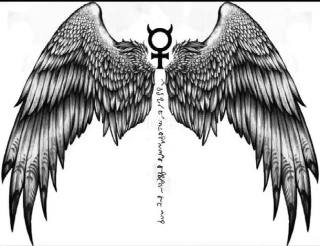 翅膀纹身手稿分享_纹身_纹身也清新_美妆_彩妆