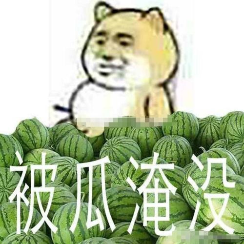 本下班猹来了 在瓜田里狂奔