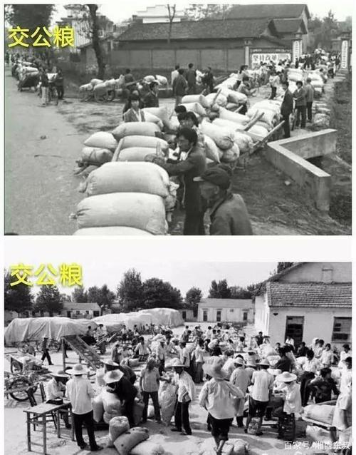 应不应该给农村种地的老人发放退休金呢?发多少合适呢?