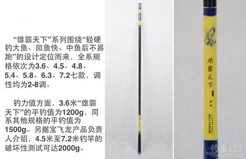 宝飞龙豪仕达系列雄霸天下鱼竿图解
