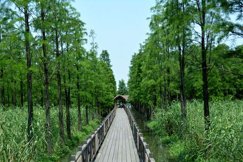 青西郊野公园