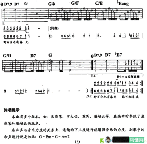野百合也有春天吉他谱(罗大佑作曲)
