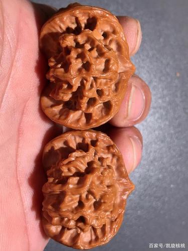 盘山上的公子帽三棱