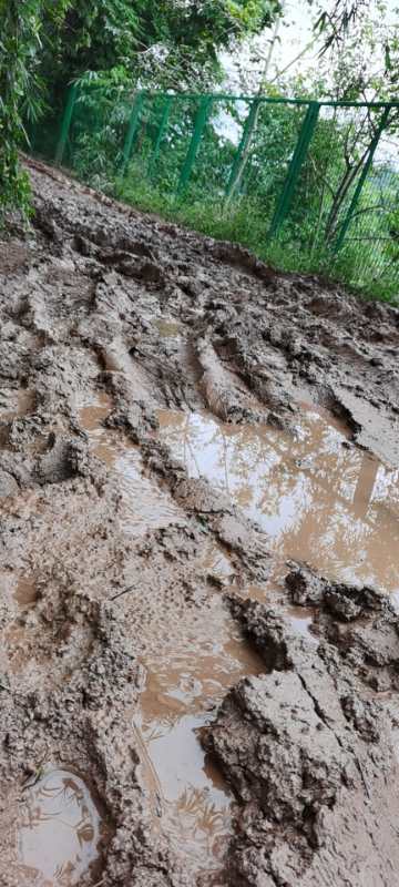 烂泥巴路几十年,出钱都走不了水泥路