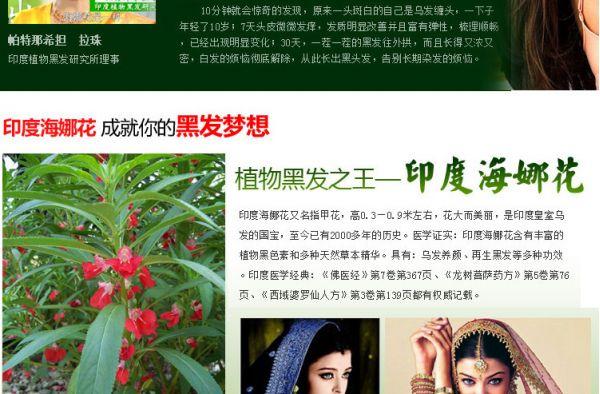 批发正品印度海维斯海娜花洗发水纯植物染发剂
