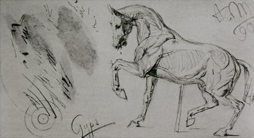 谁有马的图片,马要怎么画