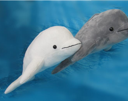 濒危动物白鳍豚简笔画