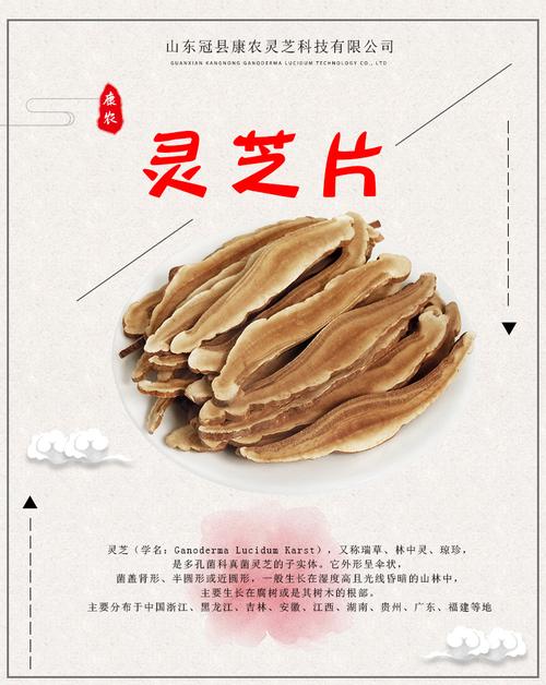 山东冠县灵芝基地批发 灵芝切片 赤灵芝片 切片灵芝 产地直销