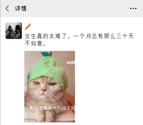 沙雕可爱的朋友圈文案,必备段子_沙雕_文案_朋友圈_搞笑_搞笑的日常