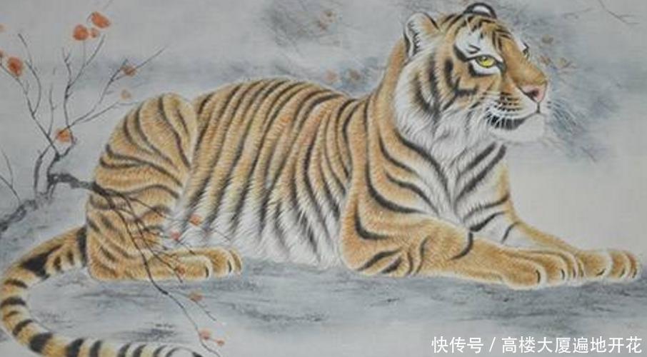 74年和74年属虎的可以婚配吗1974年属虎的男人和1974年年属虎