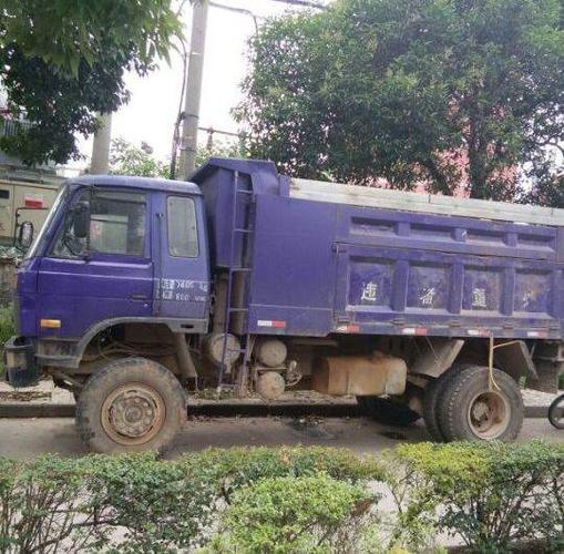 东风紫罗兰出售