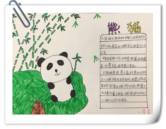 《神奇的动物世界——三年级暑假数学手抄报获奖作品选》