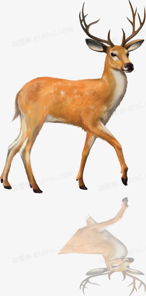 梅花鹿图片免费下载_png素材_编号vj9iy4jm4_图精灵