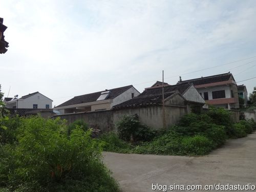 漫步闲谈支山村 ----记张家港市凤凰镇支山村保留村庄