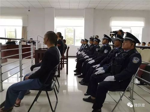痛快!大理弥渡8名涉恶人员接受公审