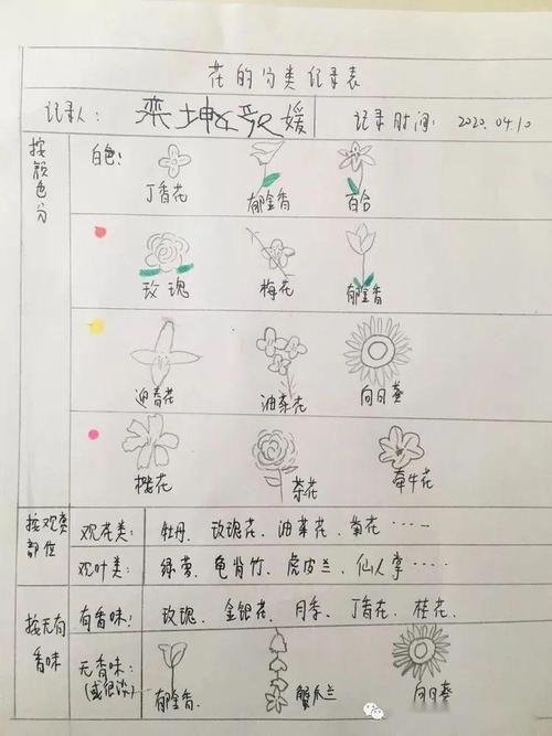 不负好时光,春日行动正当时——奎文区樱园幼儿园探寻春天主题活动