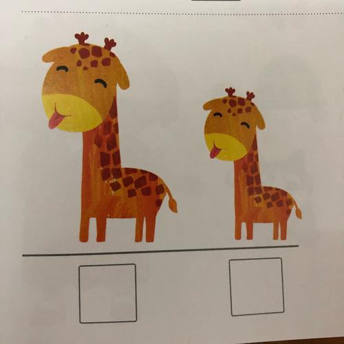 幼儿:我想用""来表示～ 教师:老师这里有许多的小动物,他们也有高矮