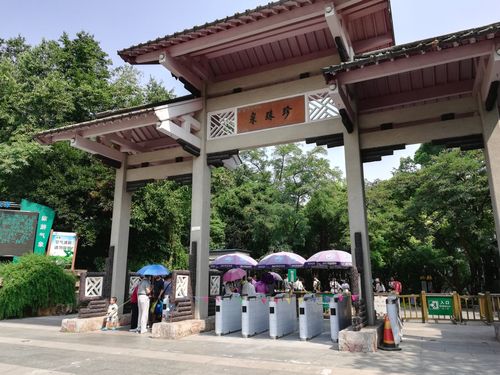 七八十岁的老朋友兴高采烈的冒着炎炎夏日畅游珍珠泉