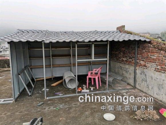 新鸽舍自行设计方钢焊盖人形顶棚