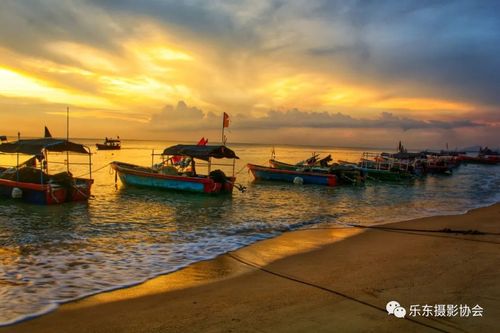 南海网 乐东新闻网 乐东新闻 拍照地点:尖峰镇岭头港 拍照地点:莺歌海