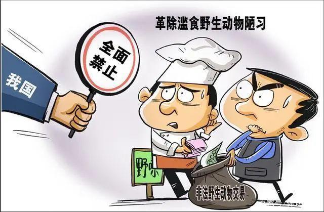拒绝食用野生动物已经立法