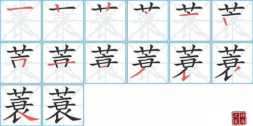 蓑的笔顺,笔画