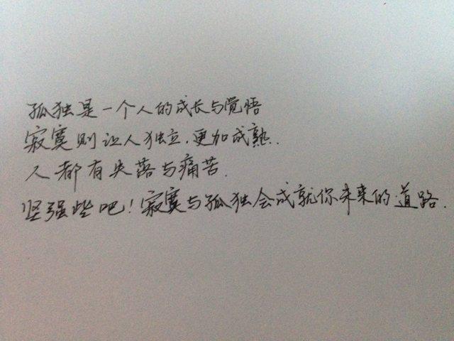 孤独是一个人的光荣,寂寞是一个人的痛苦,求理解.