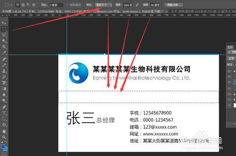 photoshop设计企业(个人)名片