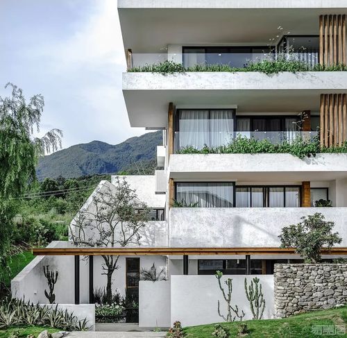 白更干净也更现代, 错落有致的绿植在精心安排之后自在生长, 酒店室内