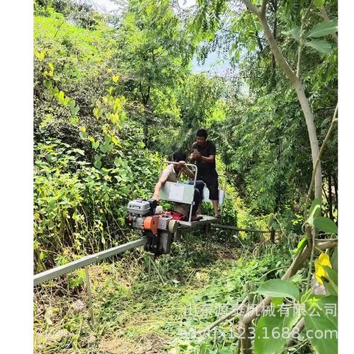 山地园林单轨运输车 自走式山地水果搬运车 轨道单轨运输车现货