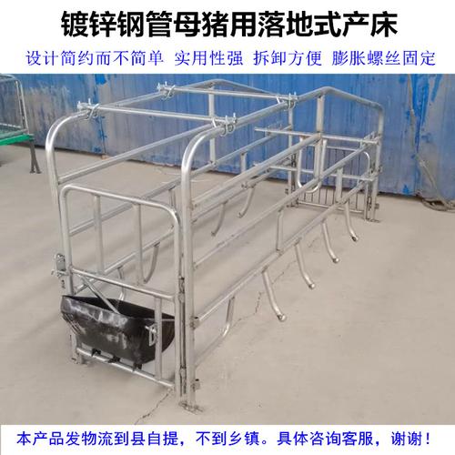 母猪产床落地式简易双体60cm70cm养猪设备猪场畜牧