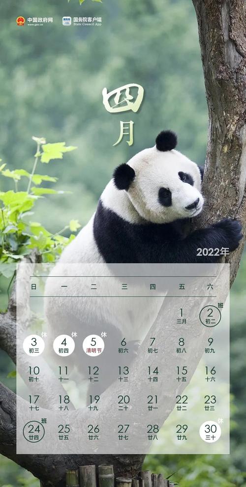 它们想要承包你2022一整年的手机壁纸!