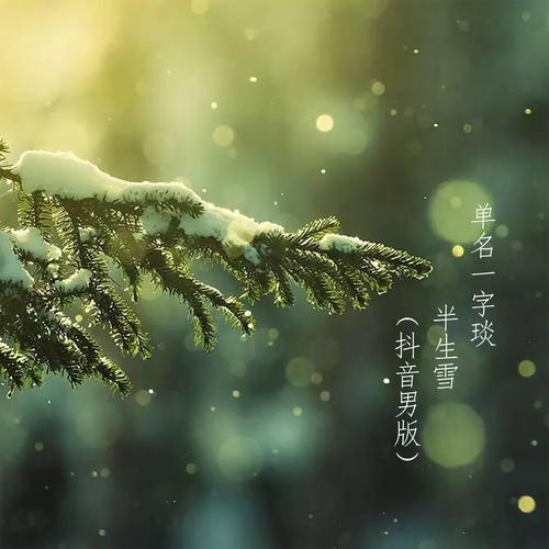 半生雪(抖音男版)