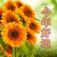今年好运的微信头像 祝自己今年走好运头像【点击鼠标右键下载】