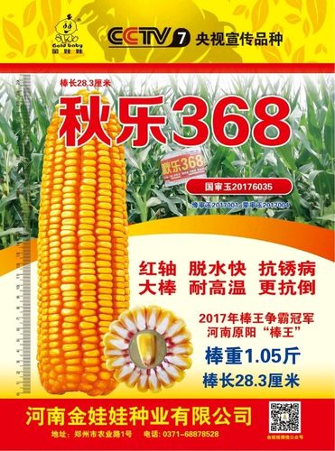 金娃娃种业～出彩秋乐368第155期-六六大顺,开市大吉