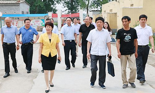 陈青枝,周俊伟,师艳芳,刘向阳等领导陪同.