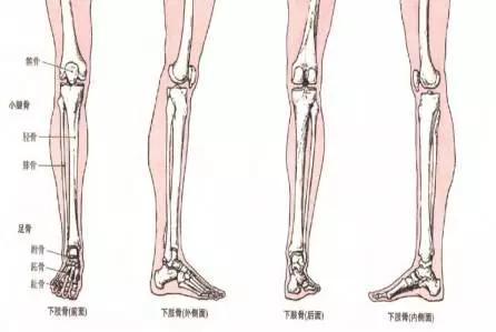 小腿前面疼痛还能继续跑步吗