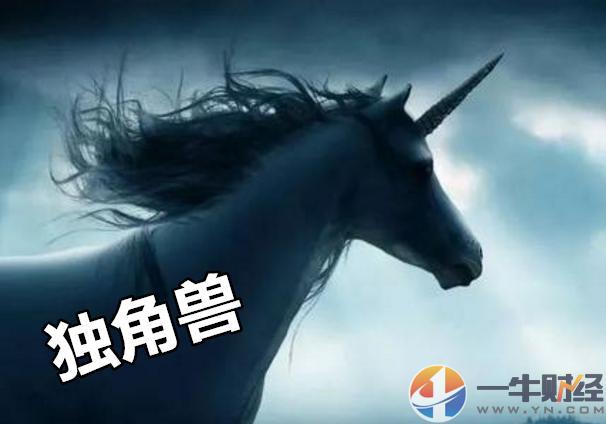 独角兽富士康ipo过会,仅仅只用36天?原因或这2个!