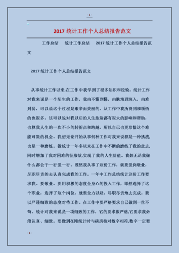 2017统计工作个人总结报告模板.doc