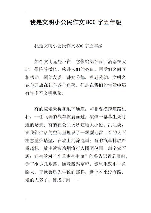 我是文明小公民作文800字五年级.docx