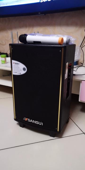 山水(sansui)sa1-10 户外拉杆音箱 广场舞音响蓝牙u盘便携手提音响
