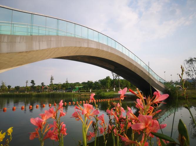 晚霞下的绵阳湿地公园