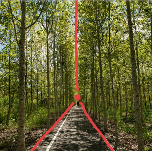 带你看构图的技巧和作用,想拍出好照片,就少不了摄影