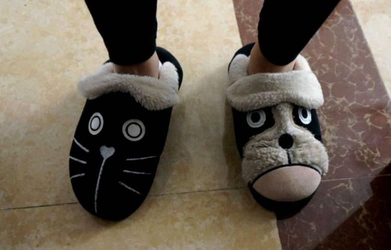 江西游之南昌新八一大桥的白猫黑猫