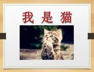 猫的故事教案ppt下载