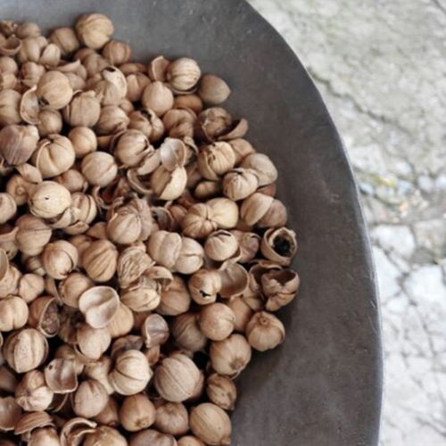 批发供应中药材 紫豆蔻 白豆寇 大货供应 量大价优