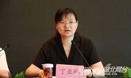 襄阳市副市长丁亚琳向记者通报襄阳市打造一流投资软环境的情况