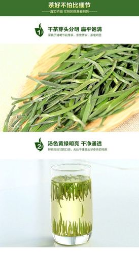 八睿商城 老姚茶行 西乡绿茶特级午子仙毫500g